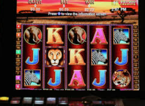 pg赢财神正式版