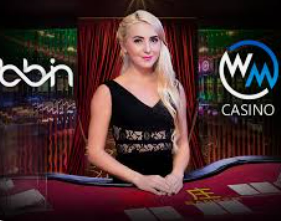 pg赢财神电脑免费版